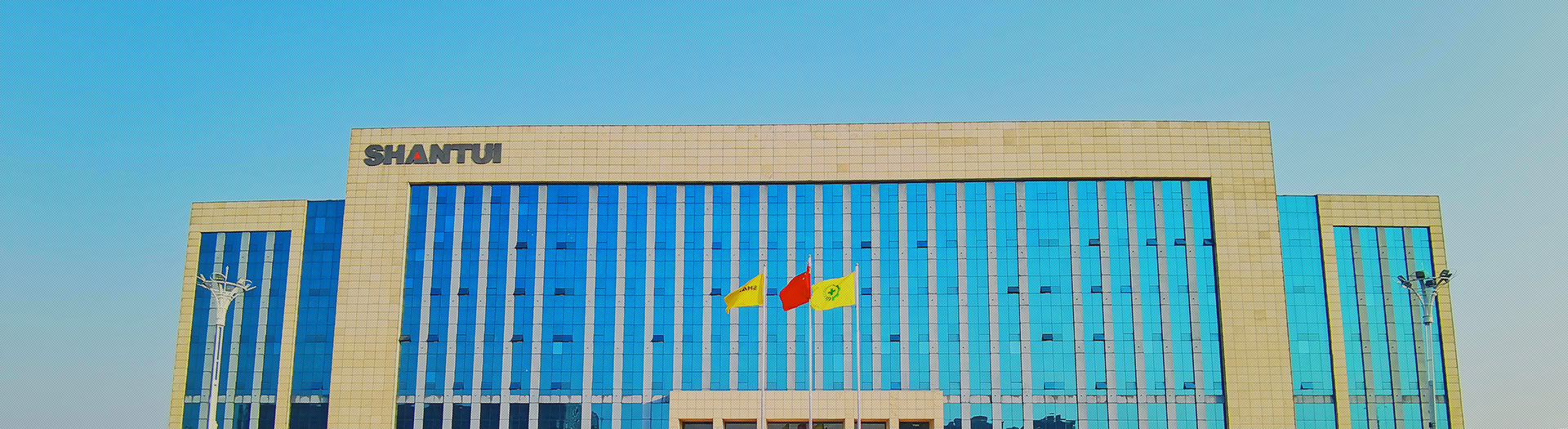 777盛世国际简介